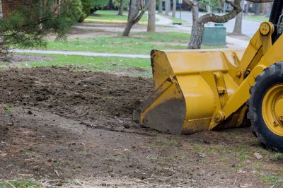 Site Conditions